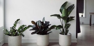 Decoração sustentável para um lar mais inteligente: investir com sabedoria em casa decoracao sustentavel