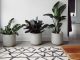 Decoração sustentável para um lar mais inteligente: investir com sabedoria em casa decoracao sustentavel