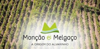 Rota do Alvarinho de Monção & Melgaço apresenta-se com imagem renovada e forte presença “online” rota do alvarinho