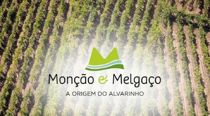 Rota do Alvarinho de Monção & Melgaço apresenta-se com imagem renovada e forte presença “online” rota do alvarinho