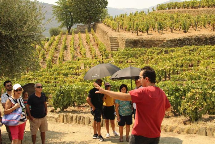 tours no douro tours no douro