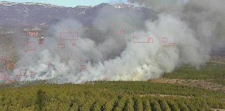 Videovigilância de incêndios: Axis Communications aposta em tecnologias de deteção com câmaras inteligentes videovigilancia de incendios