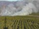Videovigilância de incêndios: Axis Communications aposta em tecnologias de deteção com câmaras inteligentes videovigilancia de incendios