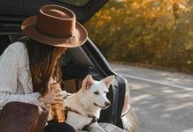 Cidades pet-friendly em Portugal: faça a mala, pegue na coleira e comprove quais as melhores cidades pet-friendly em portugal