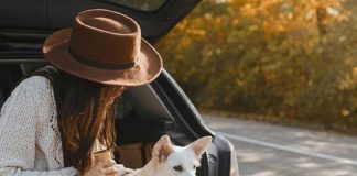 Cidades pet-friendly em Portugal: faça a mala, pegue na coleira e comprove quais as melhores cidades pet-friendly em portugal