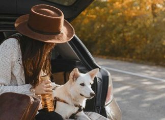 Cidades pet-friendly em Portugal: faça a mala, pegue na coleira e comprove quais as melhores cidades pet-friendly em portugal