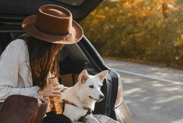 cidades pet-friendly em portugal cidades pet-friendly em portugal