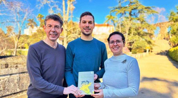 Abelhas nativas de Portugal já estão em livro abelhas nativas de portugal