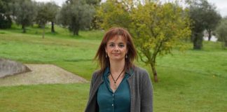 Produtos naturais à base de algas: investigadores desenvolvem compostos com potencial contra o SARS-CoV-2 produtos naturais a base de algas