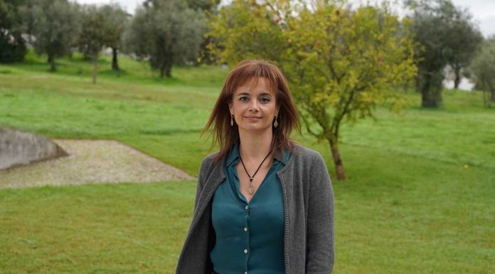 Produtos naturais à base de algas: investigadores desenvolvem compostos com potencial contra o SARS-CoV-2 produtos naturais a base de algas