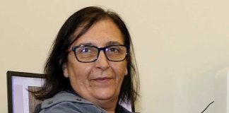 Stents vasculares biodegradáveis: Universidade de Coimbra com abordagem inovadora stents vasculares biodegradaveis