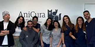 Cirurgia da válvula mitral V-Clamp: AniCura realiza primeira intervenção em Portugal cirurgia da valvula mitral