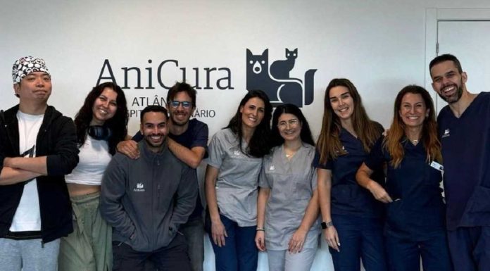 Cirurgia da válvula mitral V-Clamp: AniCura realiza primeira intervenção em Portugal cirurgia da valvula mitral