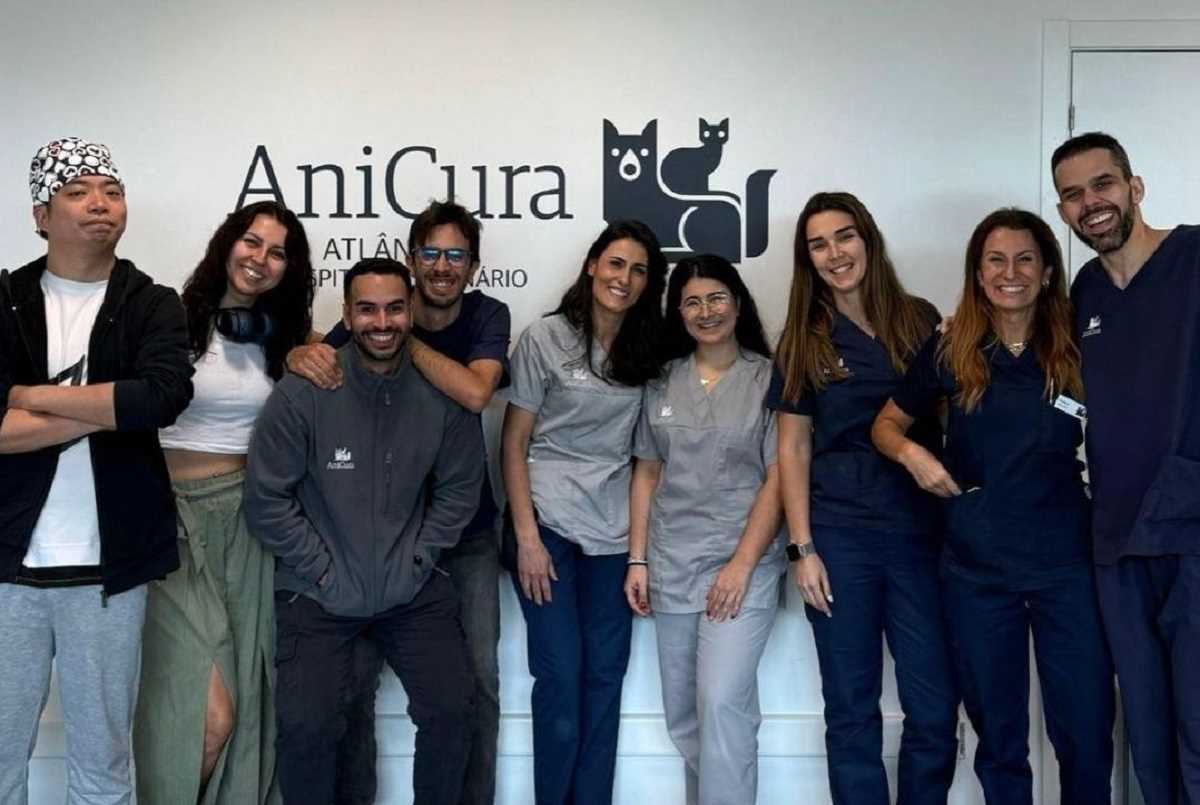 cirurgia da valvula mitral