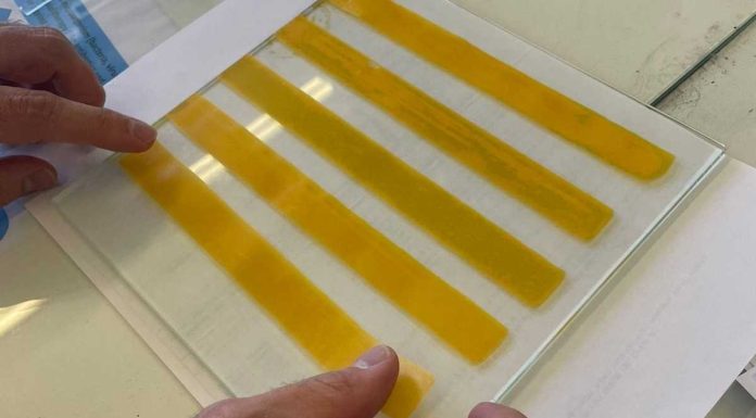 Bioplástico antibacteriano: investigadores portugueses desenvolvem solução inovadora para uso hospitalar bioplastico antibacteriano