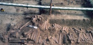 Língua urálica e ienisseiana: novas evidências genéticas identificam raízes ancestrais associadas à dispersão na Sibéria Central lingua uralica