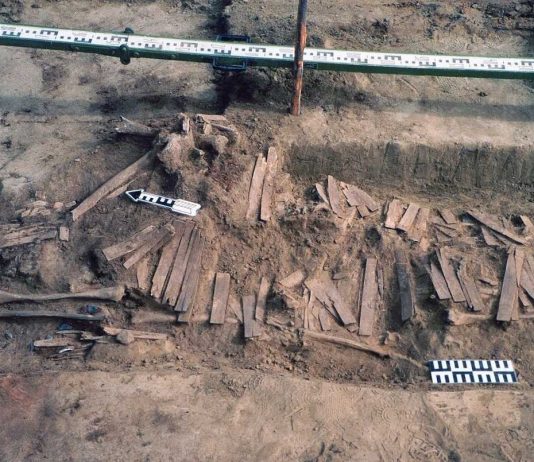 Língua urálica e ienisseiana: novas evidências genéticas identificam raízes ancestrais associadas à dispersão na Sibéria Central lingua uralica