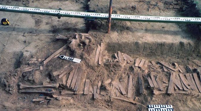 Língua urálica e ienisseiana: novas evidências genéticas identificam raízes ancestrais associadas à dispersão na Sibéria Central lingua uralica