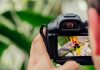 Prémio de Fotografia novobanco Revelação premeia artista nacional premio de fotografia
