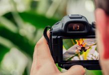 Mais importante Prémio de Fotografia Contemporânea em Portugal vai distinguir artista internacional premio de fotografia