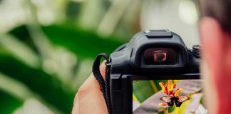Mais importante Prémio de Fotografia Contemporânea em Portugal vai distinguir artista internacional premio de fotografia