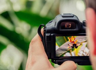 Prémio de Fotografia novobanco Revelação premeia artista nacional premio de fotografia