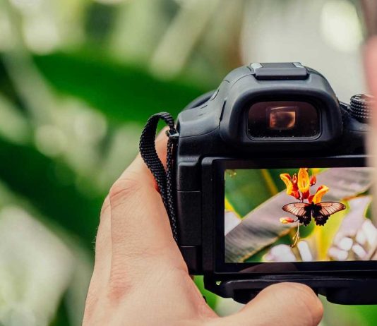Mais importante Prémio de Fotografia Contemporânea em Portugal vai distinguir artista internacional premio de fotografia