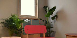 Primeira Escola de Sustentabilidade em Portugal já abriu portas escola de sustentabilidade