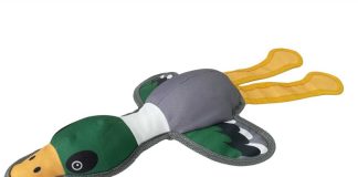 Brinquedos eco-friendly para cães: Kiwoko aposta na linha “Love the Earth” brinquedos eco friendly para caes