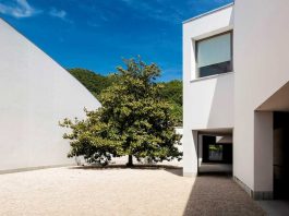 Museus mais visitados do Mundo: Serralves é o único português na lista museus mais visitados do mundo