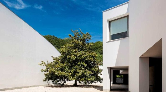 Museus mais visitados do Mundo: Serralves é o único português na lista museus mais visitados do mundo