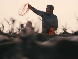 Produtora portuguesa de cinema Alecrim Vagabundo vence bolsa internacional para documentário produtora portuguesa de cinema