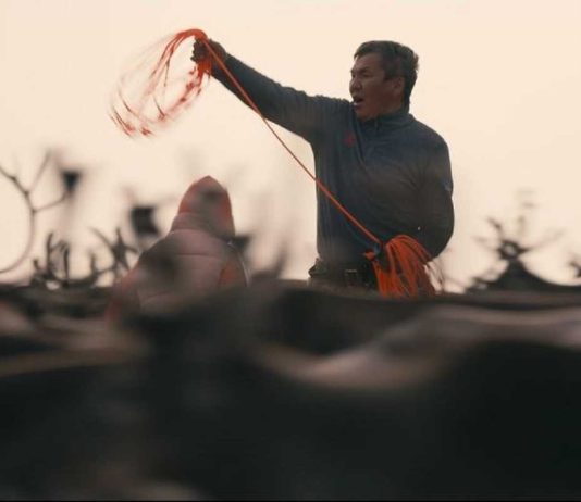 Produtora portuguesa de cinema Alecrim Vagabundo vence bolsa internacional para documentário produtora portuguesa de cinema