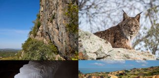 Geoparque Algarvensis reconhecido como Geoparque Mundial da UNESCO geoparque algarvensis