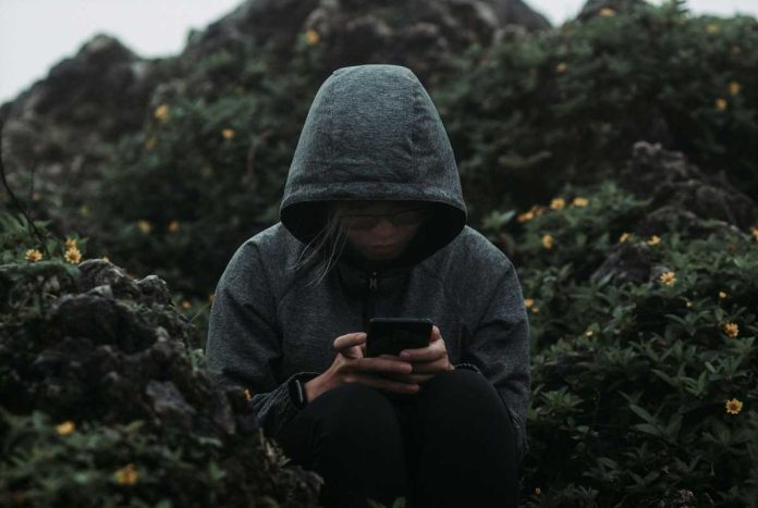 ciberbullying