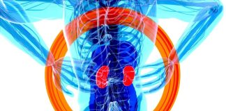 Doença Renal Crónica: Diaverum lança em Portugal o assistente com IA kidney.com doenca renal cronica