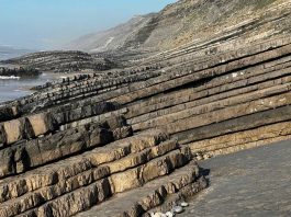 Arribas de São Pedro de Moel guardam o registo geológico mais completo do mundo de um período crítico do Jurássico arribas sao pedro moel