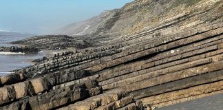 Arribas de São Pedro de Moel guardam o registo geológico mais completo do mundo de um período crítico do Jurássico arribas sao pedro moel