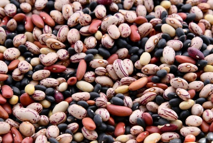 leguminosas alimentares